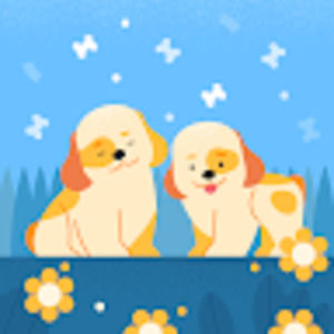 Meet your Posher, Daisy